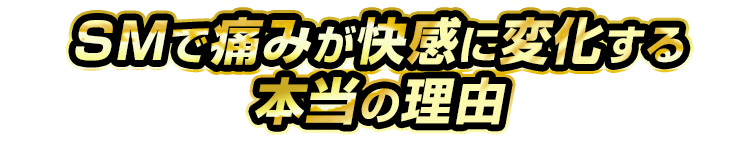 SMで痛みが快感に変化する本当の理由