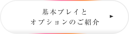 基本プレイとオプションのご紹介