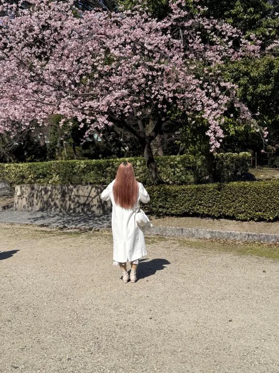 夢七（ゆめな）