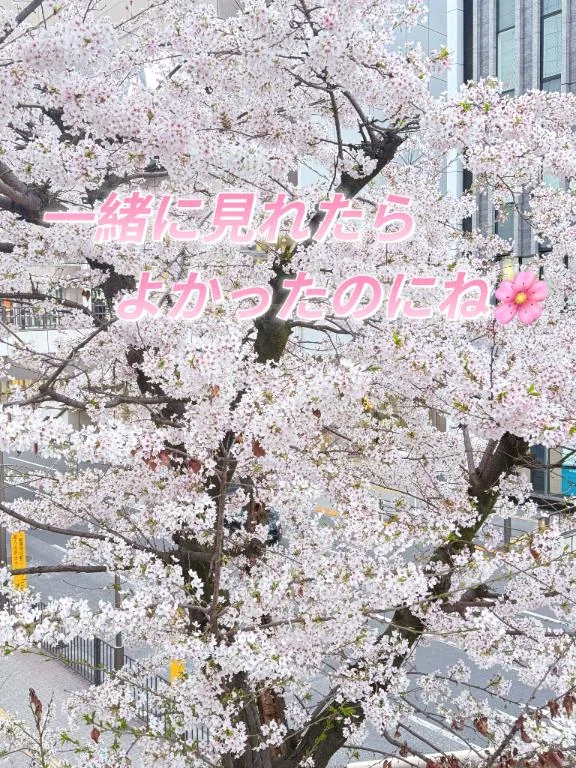 美蕾（みらい）