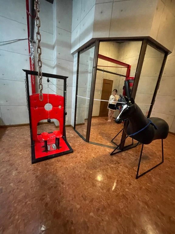 星空（せいら）