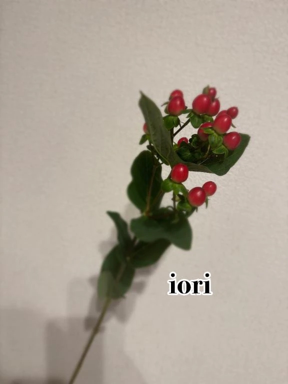 いおり