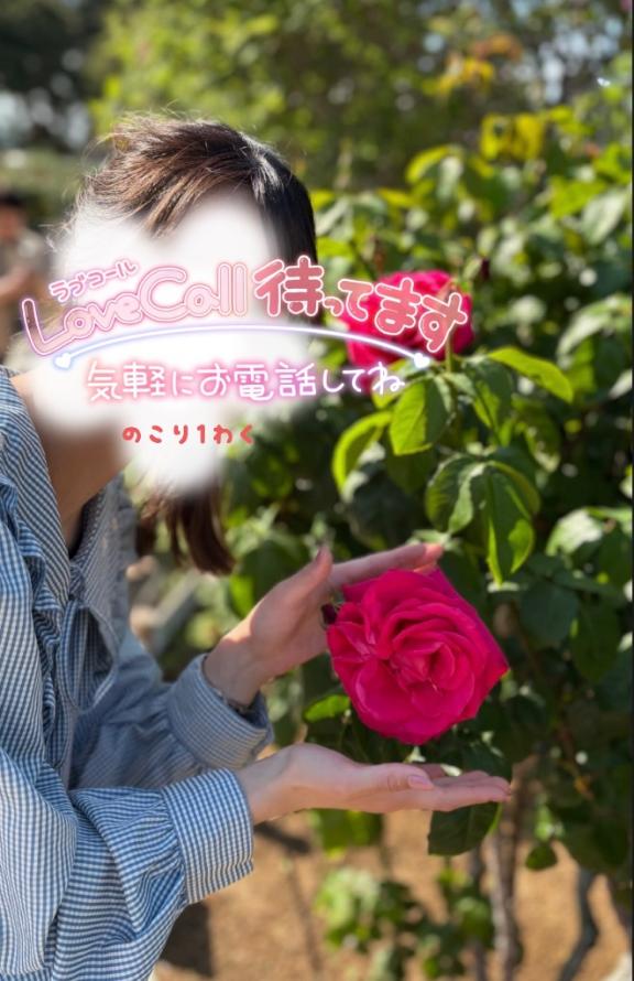えり