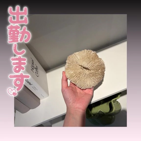 みい