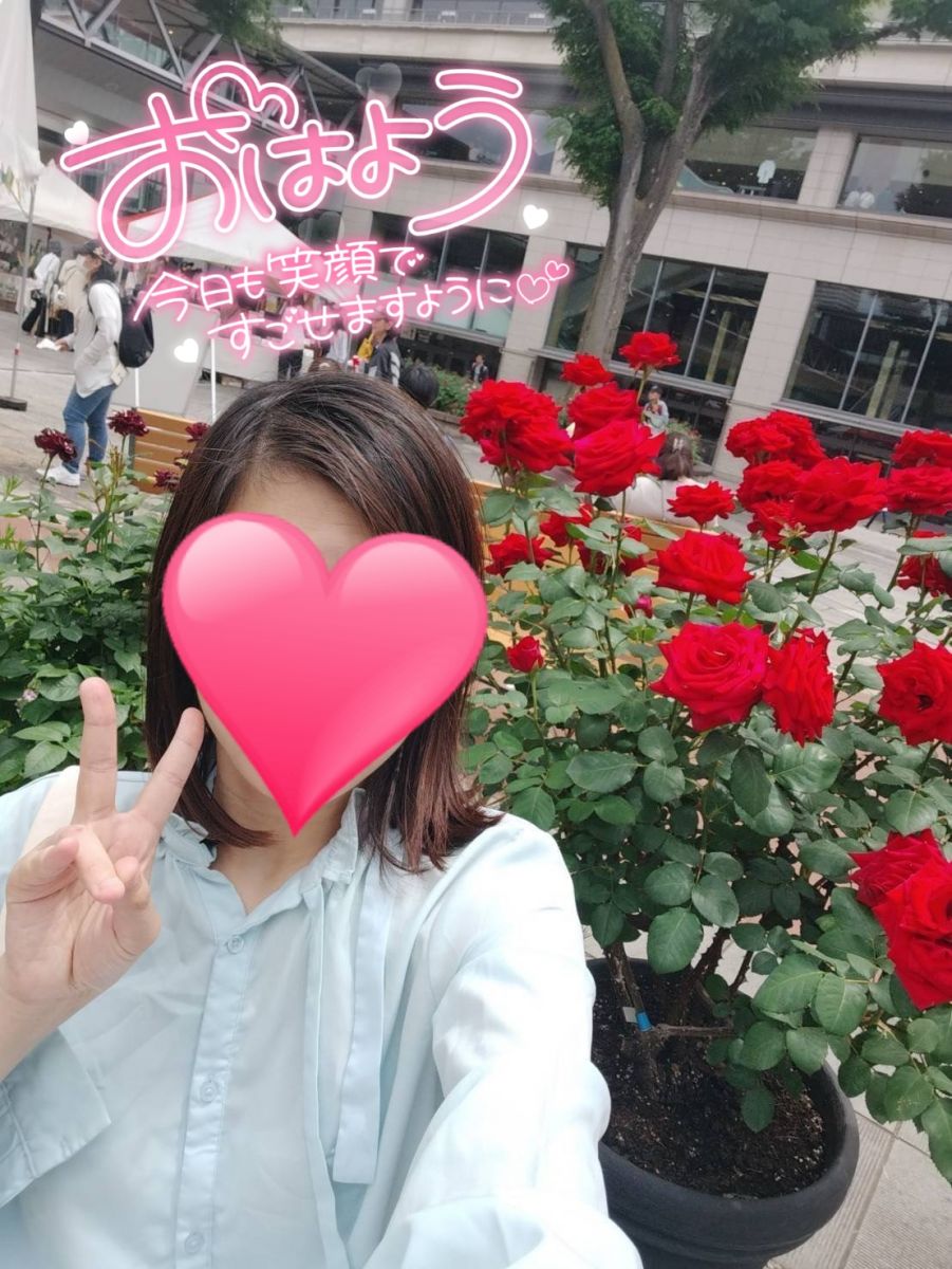 みほ