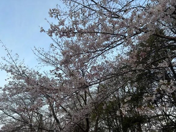 りか