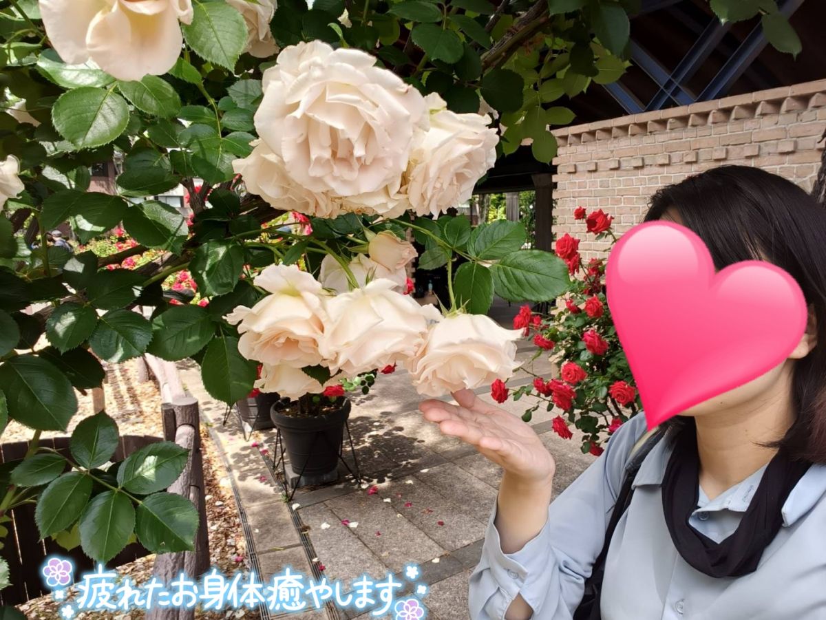 みほ
