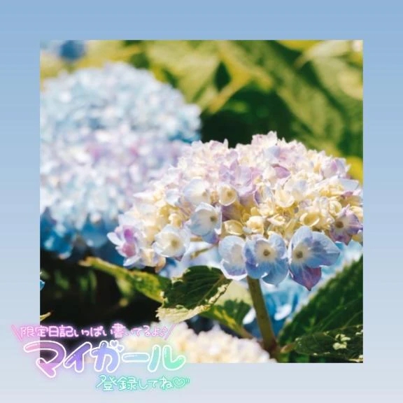 みい