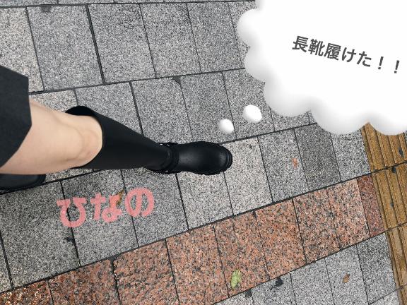 ひなの