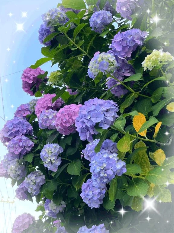 いく