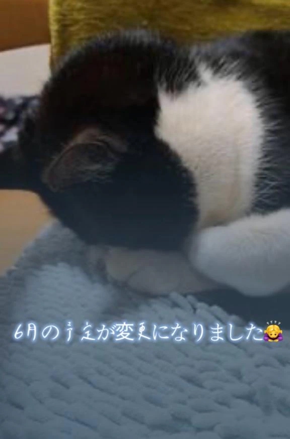 ひかる