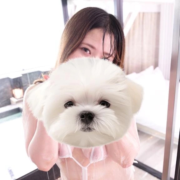 ひい