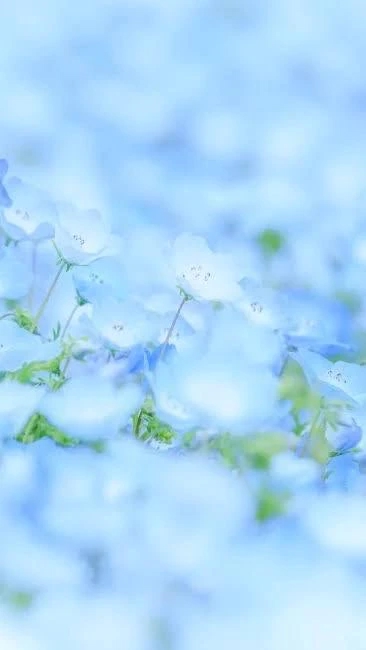 りん