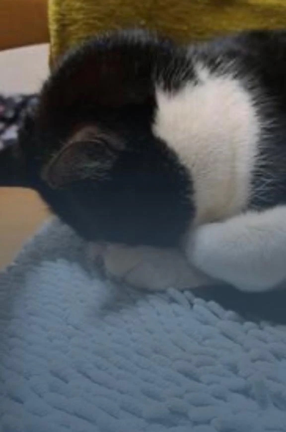 ひかる