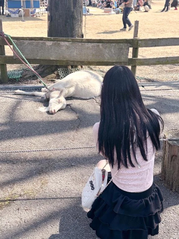 あい