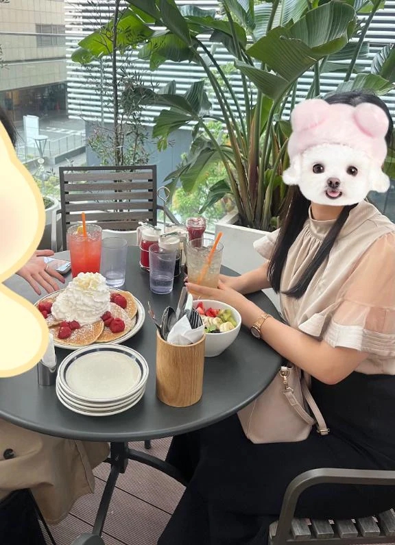 きずな