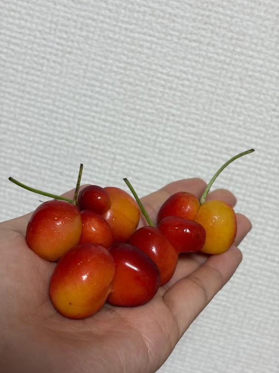 かすみ