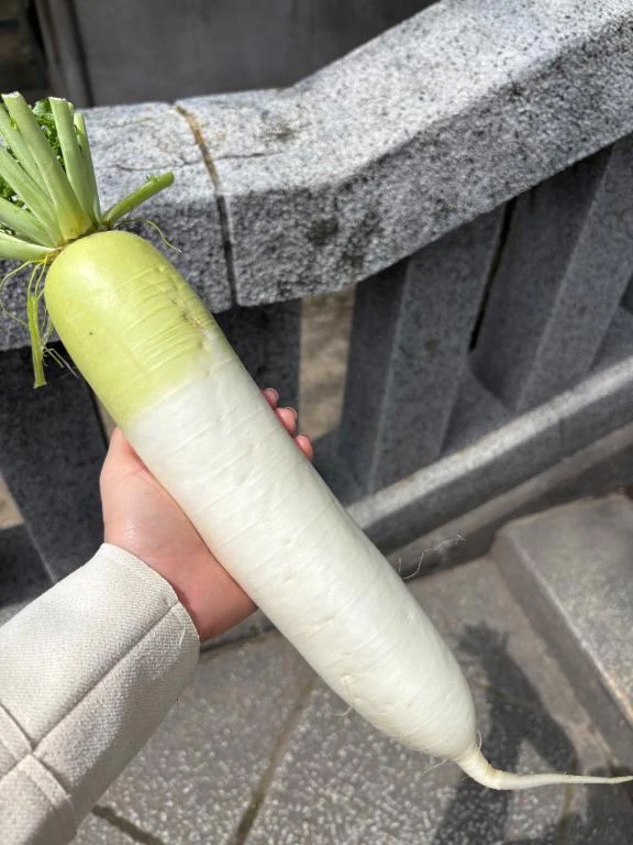 もか