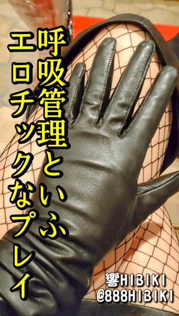 響（ひびき）
