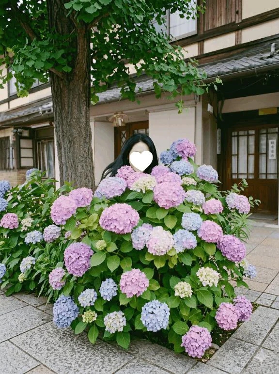 ここ