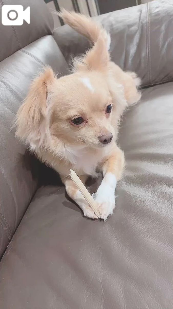 のの