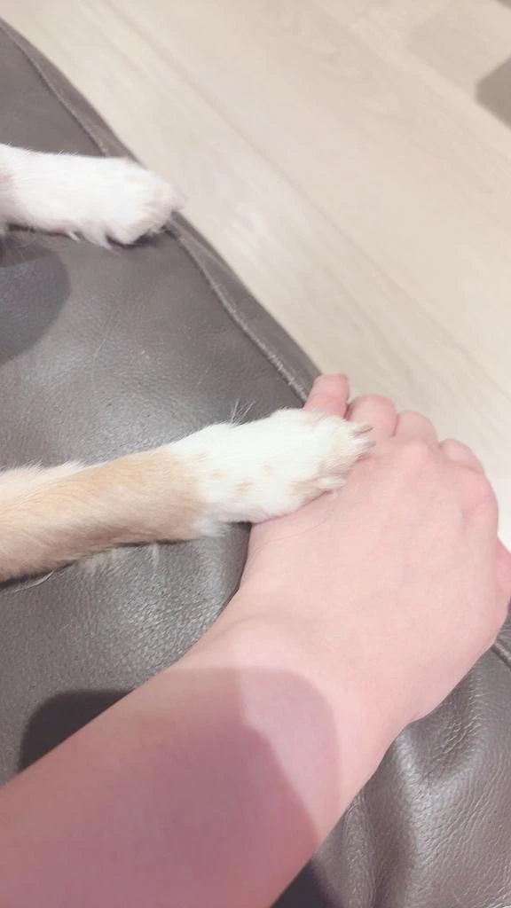 のの