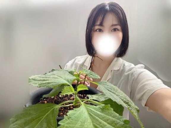 まこ