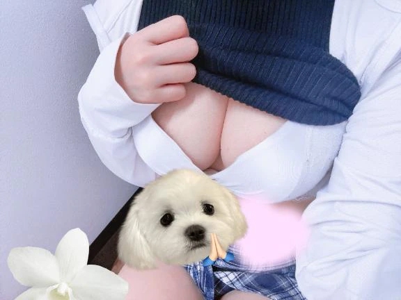 ぽっぷ