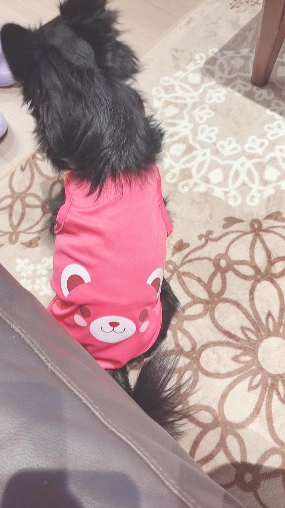 のの
