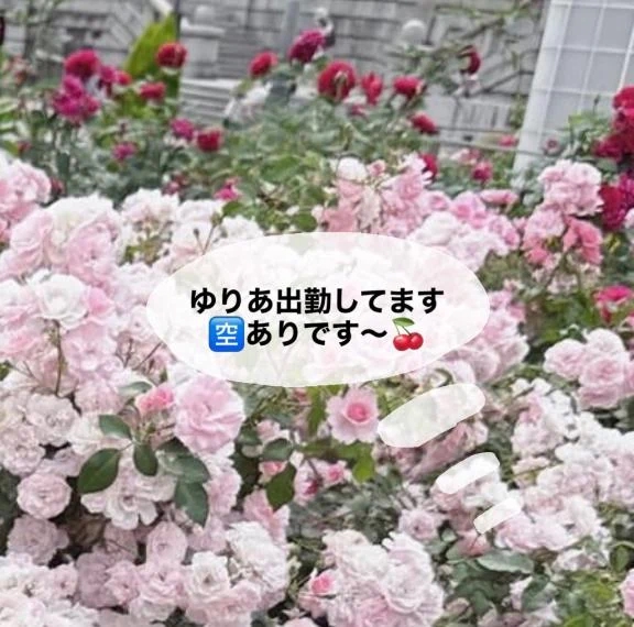 ゆりあ