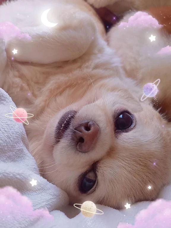 ゆうな