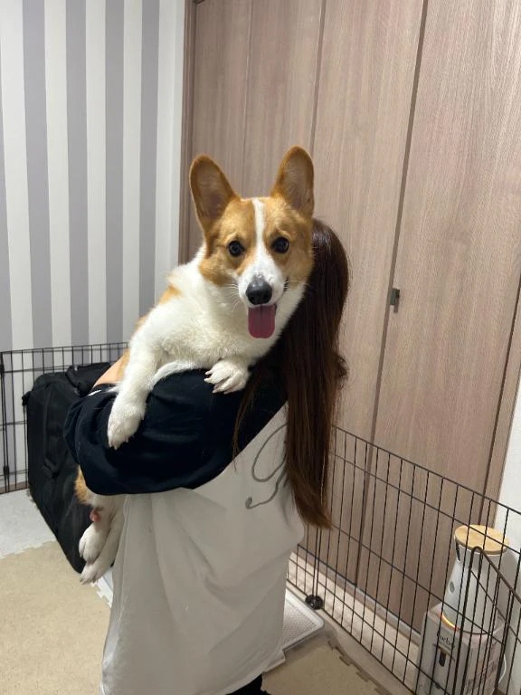 ゆま