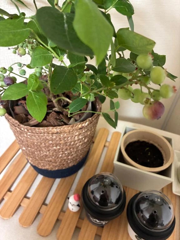 あい