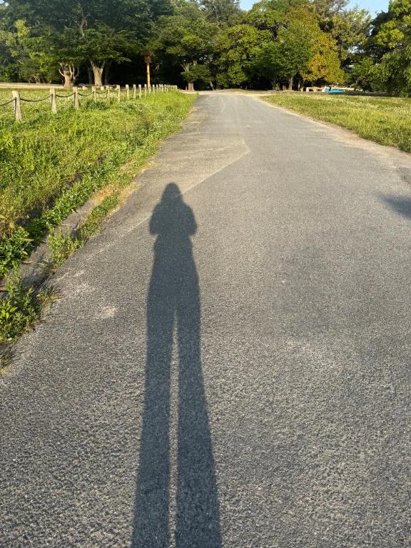 せんり