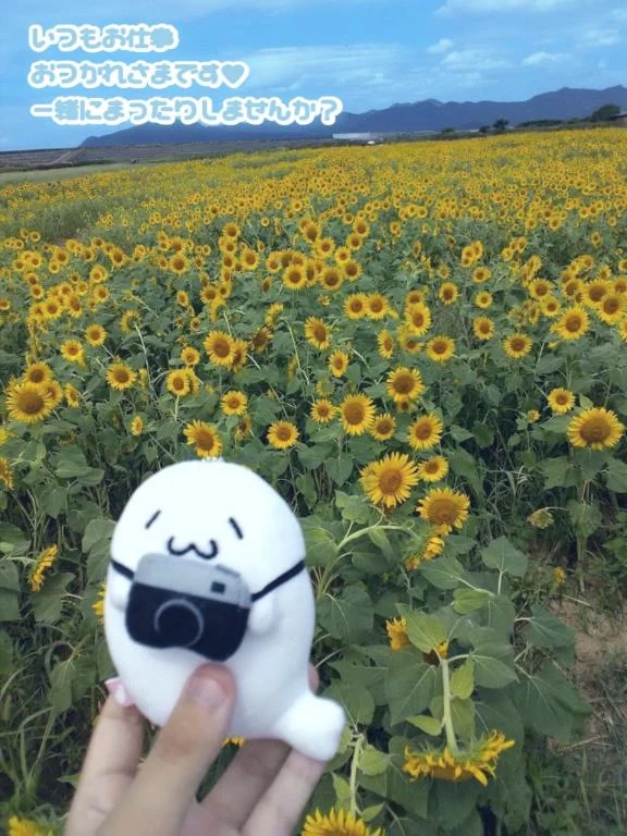 みほ