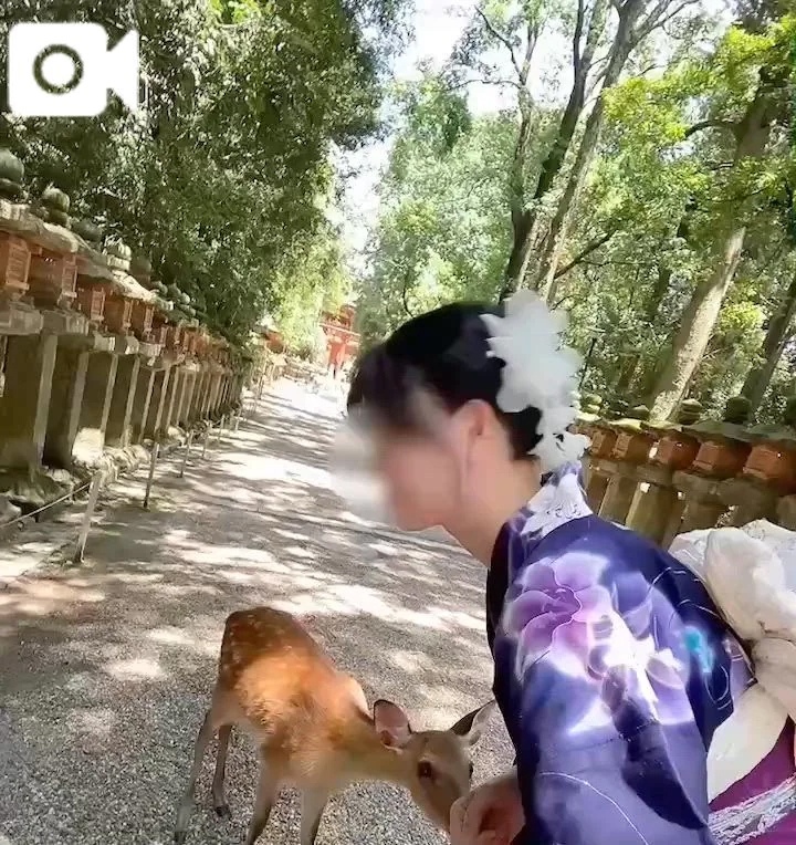 いずみ