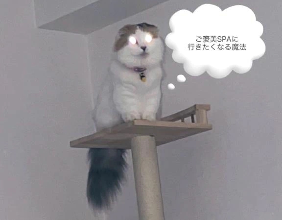 ふゆ