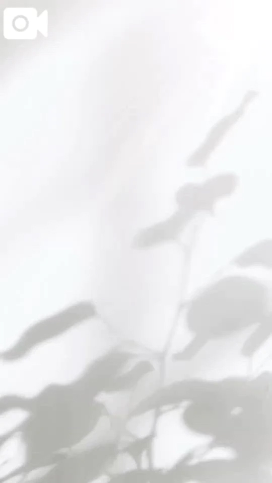 みほ