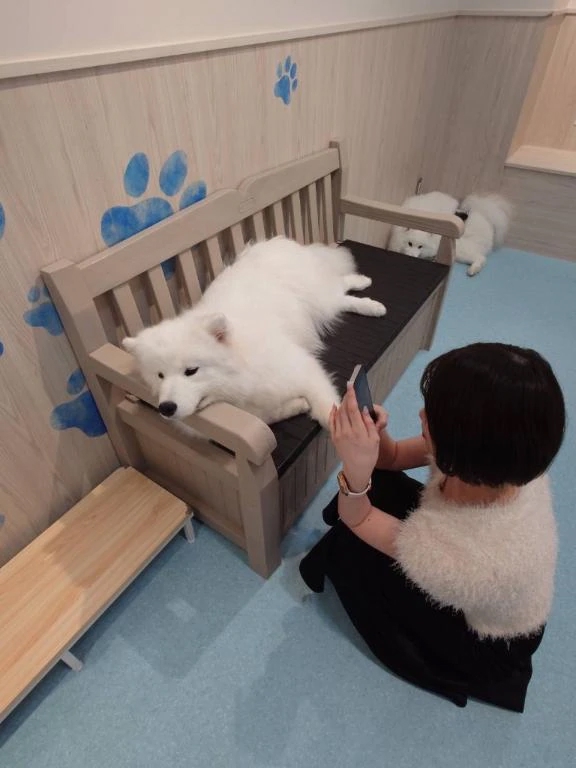 あゆな