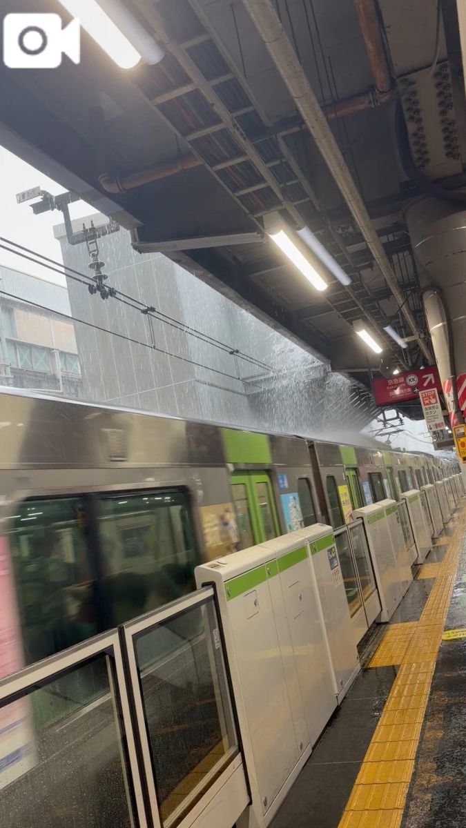 まふゆ