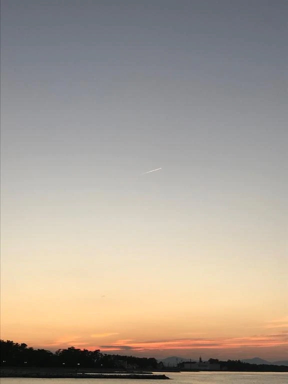 ひなの